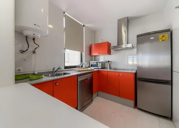 Flamenco 科尼尔-德拉弗龙特拉