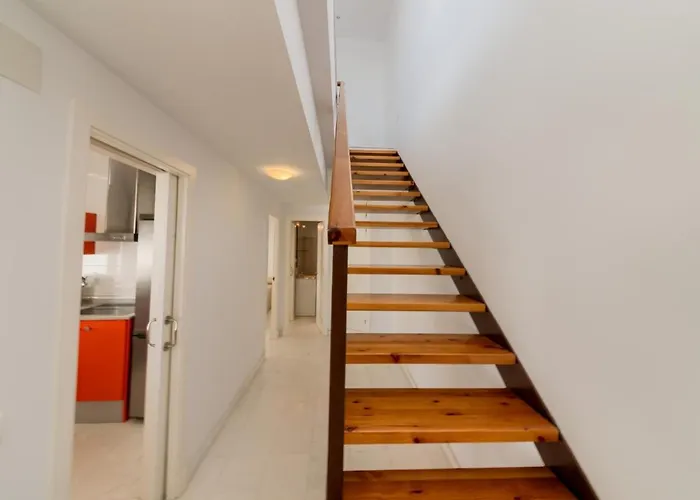 Flamenco 科尼尔-德拉弗龙特拉