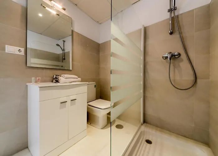 Flamenco 科尼尔-德拉弗龙特拉